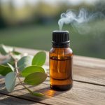 Huile essentielle eucalyptus inhalation : bien respirer naturellement